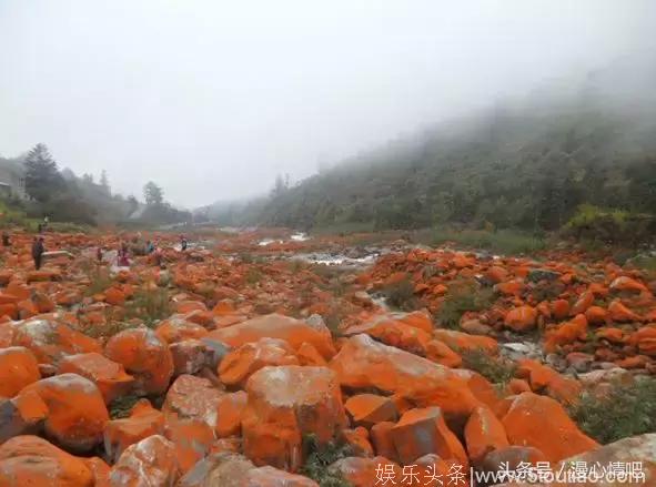 这里凭借独特的自然风光成为众多电影的取景地，究竟有何魅力？