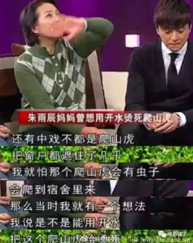 大S剥虾论，我看到假装幸福的家庭综艺