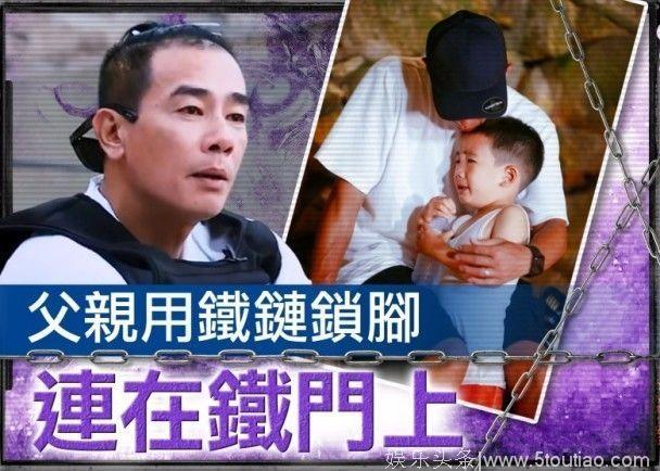 应采儿、谢娜还有程莉莎，哪个妻子最快乐？