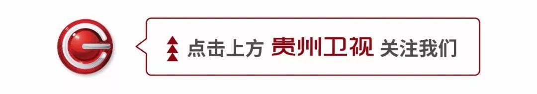 豆瓣评分8.1！只讲种树的电视剧为啥这么火？