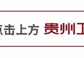 豆瓣评分8.1！只讲种树的电视剧为啥这么火？