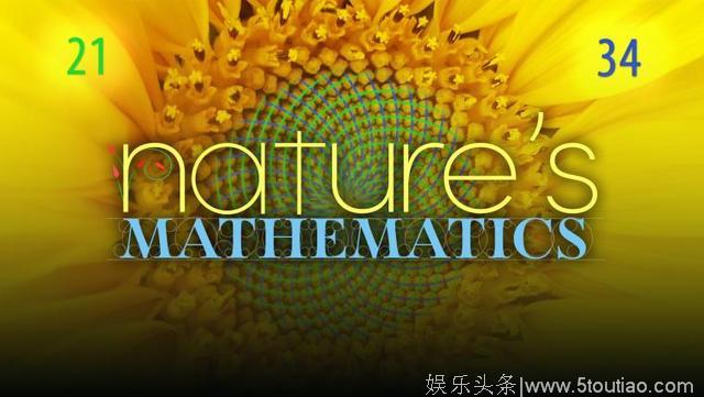 激发数学思维，18部经典数学记录片和8部电影（附链接），收藏起来