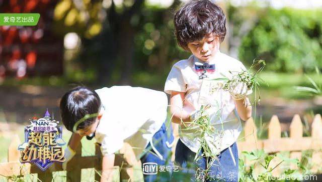 破解中国式学前教育焦虑《超能幼稚园》打造儿童教育综艺新样态