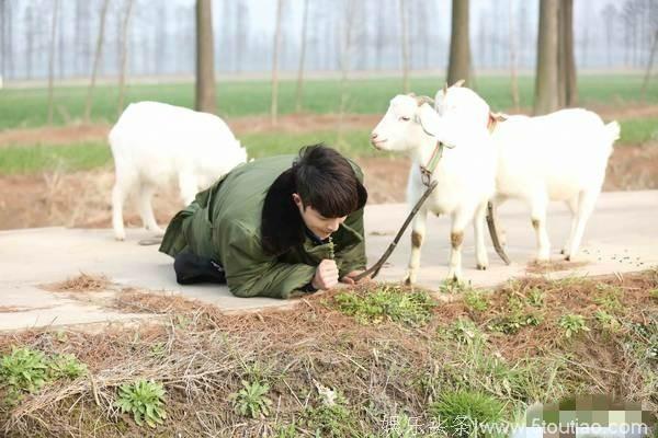 程潇上综艺弯腰掰腿，柔韧度惊人，在韩国完全就成了中国妹子代表