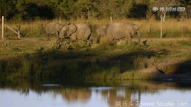 豆瓣9.3，这么慢的综艺之所以口碑炸裂，因为它安静的体验自然