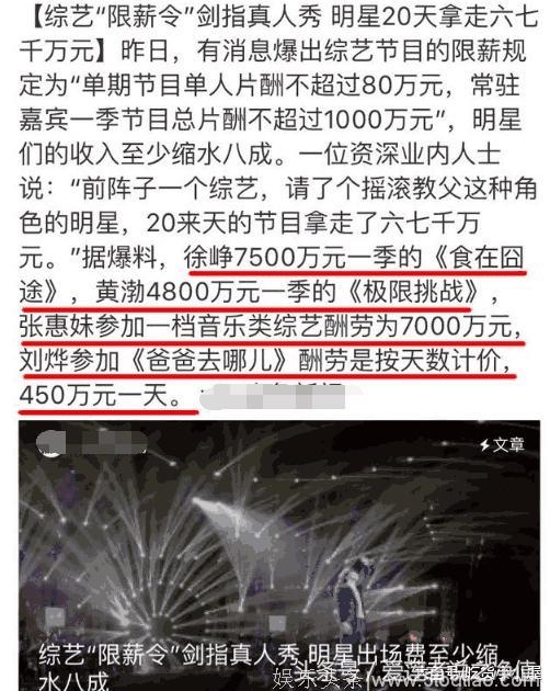 王菲：以前不知道综艺那么好赚，网友：请退回那9000万人民币