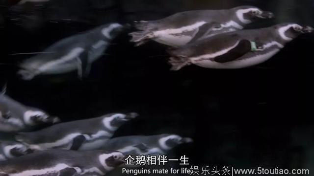 豆瓣高达9.2分，这部美剧佳作，我看哭了！