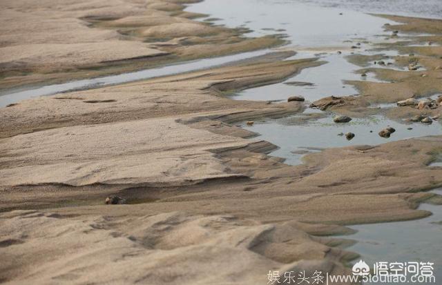 如果把新疆沙漠中的沙子运到内地搞建筑，会有多少好处？