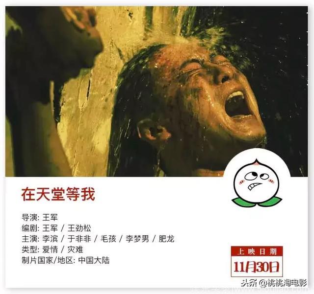 又是很棒的一周院线新片呢！