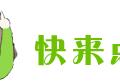 「深思」缉毒警察在被剥皮碎骨，吸毒明星依旧万众瞩目