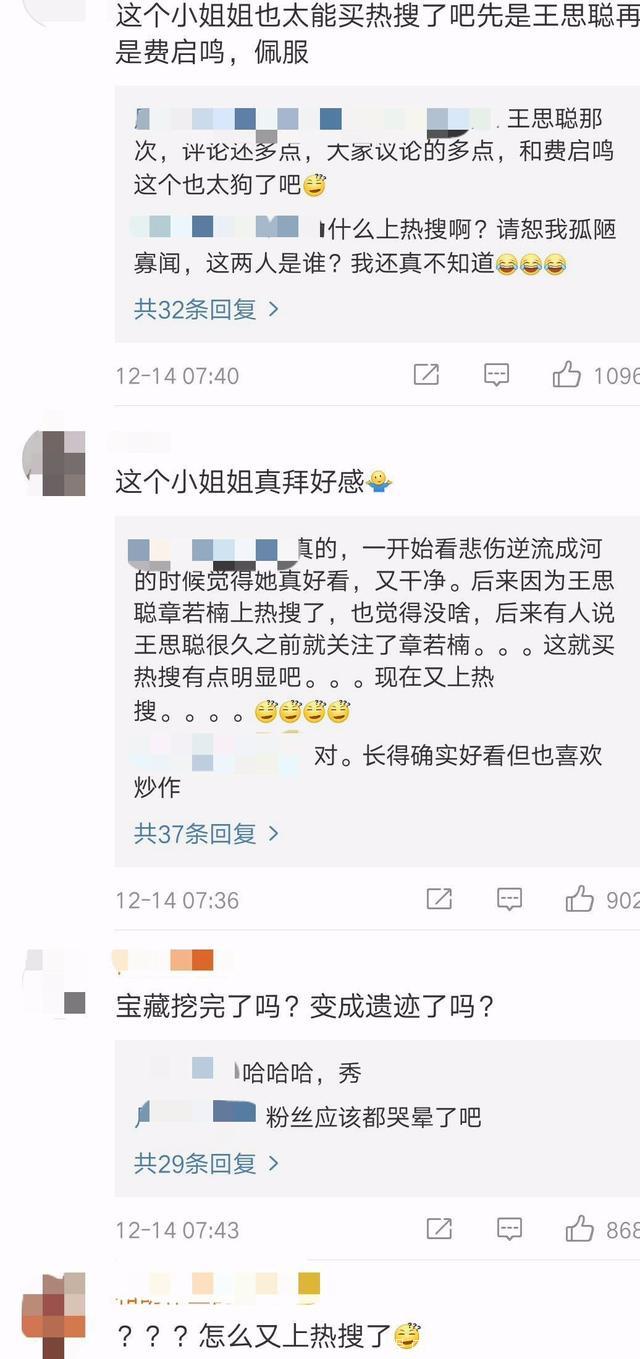 从王思聪到费启鸣，她成功从网红炒作成了明星，却遭到网友反感