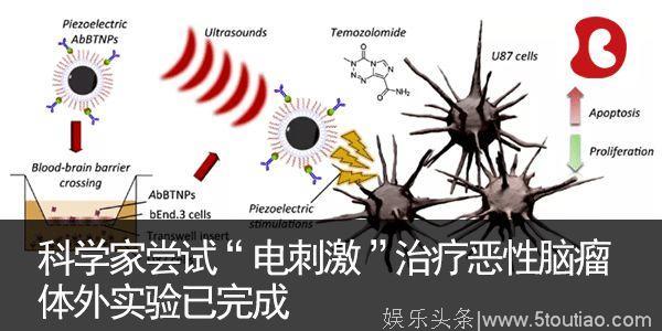 重大突破！明星“长寿药”终于用到人类身上了……