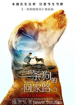 2019年第三周上映的13部电影