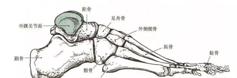 女明星为了显高简直丧心病狂！