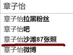 高高在上的电影咖？接地气的综艺咖？从章子怡嫁给汪峰时就有答案