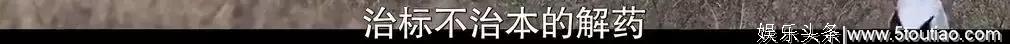 豆瓣9.1，爱犬情深，集集催泪！