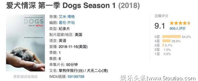 豆瓣9.1，爱犬情深，集集催泪！