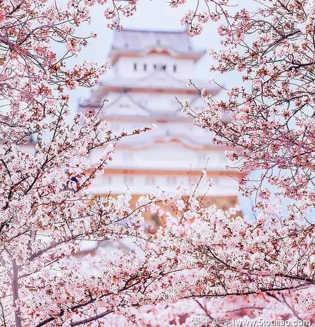 日本关西10个超凡体验！穿越日剧！