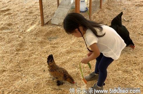 章子怡醒醒美国农场一日游，教育观念引称赞，母女俩收获满满