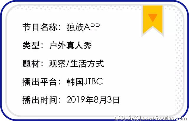 「节目模式」10档国外上新综艺分享