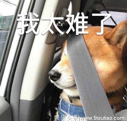不负众望!2020开年第一部国产奇幻片,我一万个服气