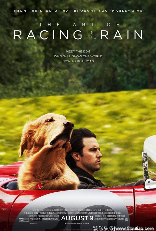 关于狗的感人电影那么多，这部电影何以再赚我们的眼泪？