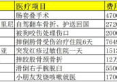 中国游客海外病不起 欧美医疗费可达国内30倍