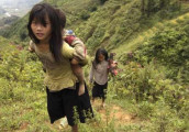 在越南旅行的欧美游客很多, 其实都是为了越南女生去的