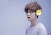 赵丽颖女星中人气第一, 张艺兴不如鹿晗, 这位韩星却排在第三