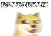 比蜜还甜的“无尾熊”让小编受到了一万点的暴击