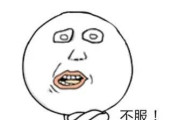 羡慕李健张鲁一的老婆, 拥有高学历高颜值的老公是怎样的体验