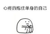 无尾熊CP是真的吗? 认真你就输了!