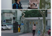 《我的前半生》凌玲穿了23套衣服, 上位后越穿越贵, 哪套最丑?