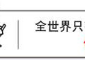 荐朗读 | 「林杉声音杂志」--每天都看到自己的优点。