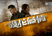 深感我心的香港警匪剧《护花危情》