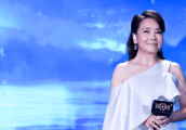 辛晓琪金曲遗珠扳回一城, 华语金曲夺两奖脸书忆母好感人