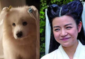 《我们来了2》陈妍希是被陈晓施法了? 小包子变仙女