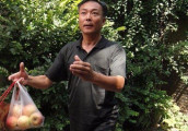 七位喜剧巨匠