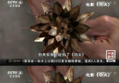 战狼2票房要上天 星爷: 我拍功夫2必破他 甄子丹: 还有叶问4