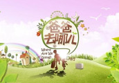 今年9月《爸爸去哪了第五季》就要和大家见面了, 哪位明星更让大家期待呢?
