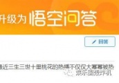 大幂幂的艺人再度霸屏，最被网友看好的是这三位