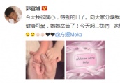 方媛两年卖力生两，却因又是女儿被嘲美梦落空？郭富城回应露端倪