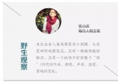 分手复合结婚出轨，香港最后童话破灭后，港女郑秀文重回现实世界