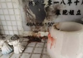 蓝洁瑛去世5个多月，墓碑被火“熏黑”受损，网友：到底谁干的！